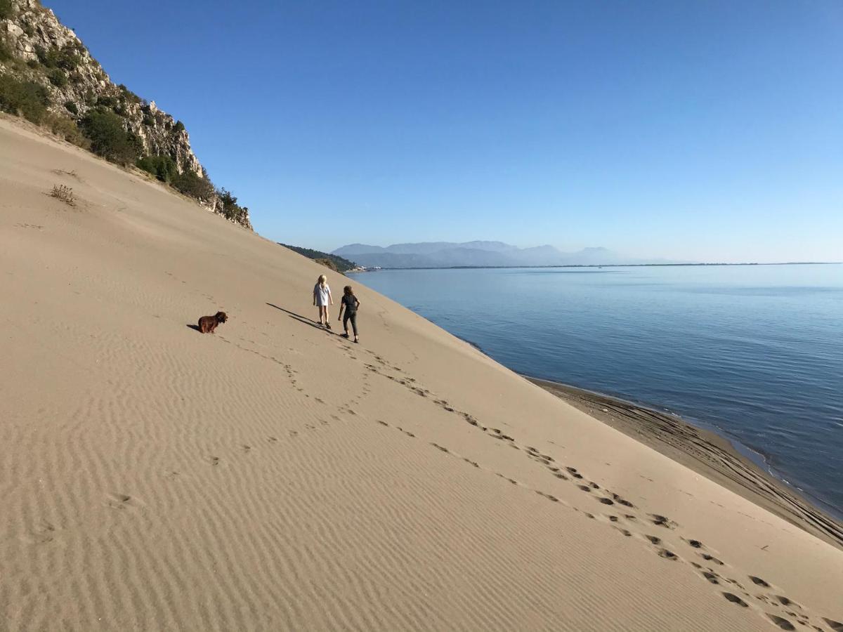 Beachfront, Tirana Guest House Velipojë Dış mekan fotoğraf