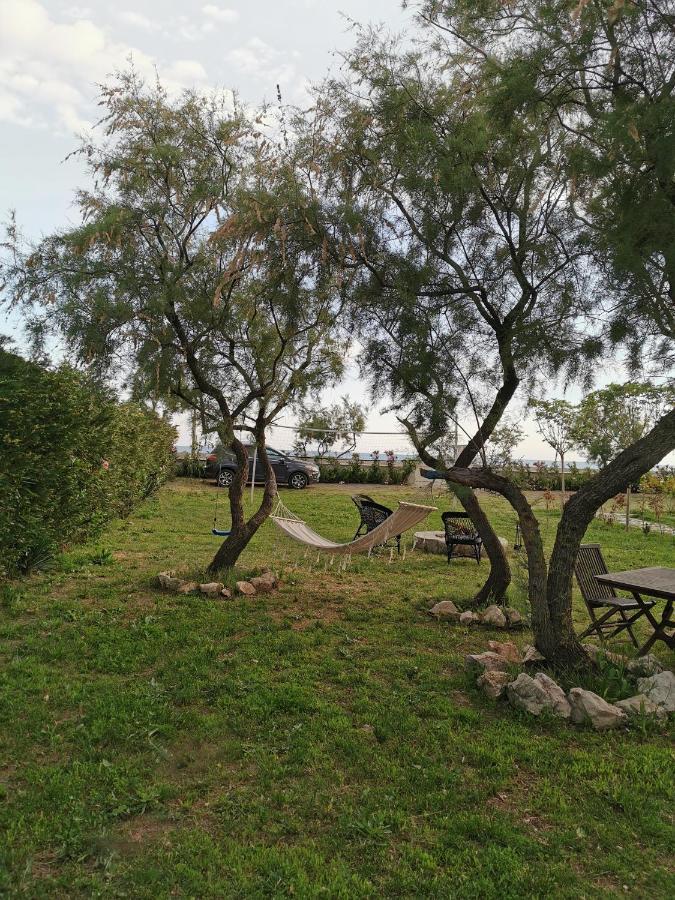 Beachfront, Tirana Guest House Velipojë Dış mekan fotoğraf