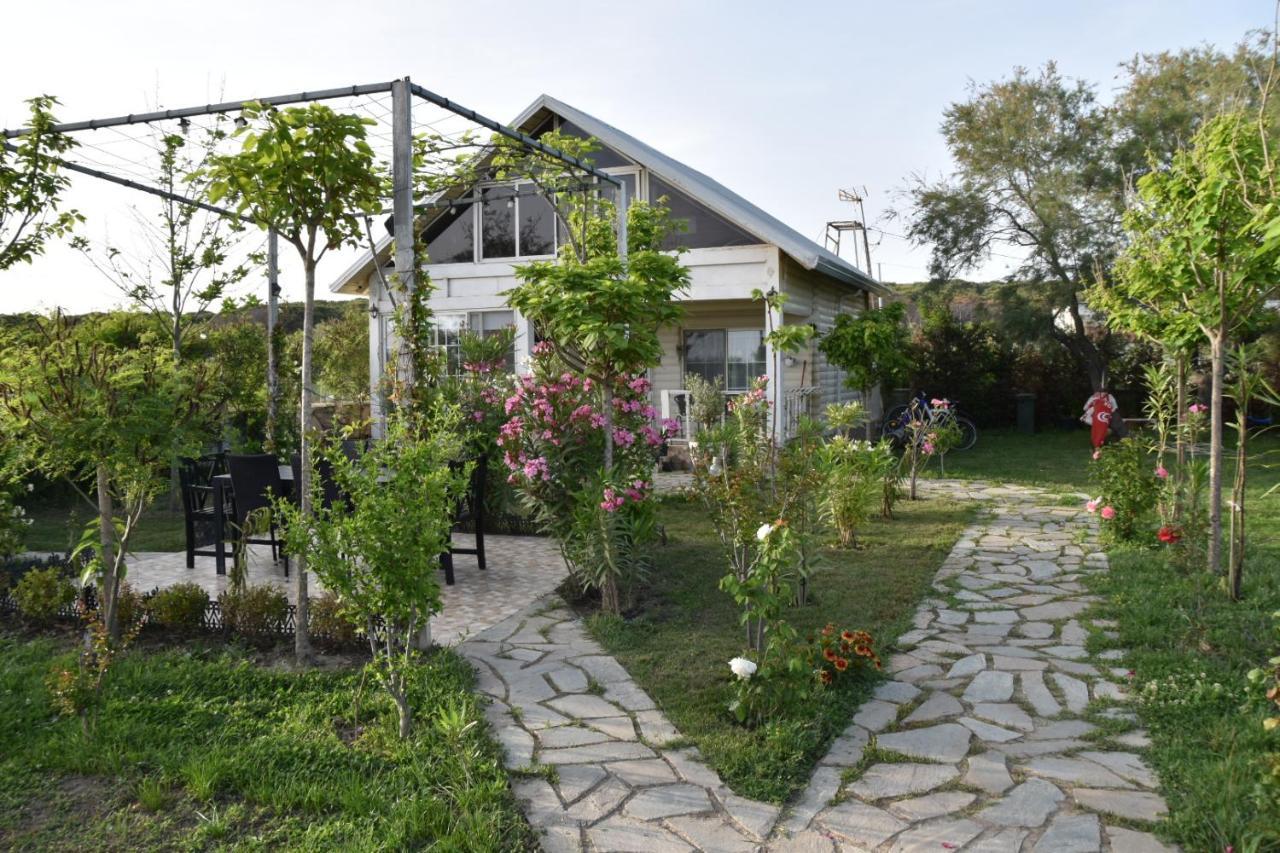 Beachfront, Tirana Guest House Velipojë Dış mekan fotoğraf