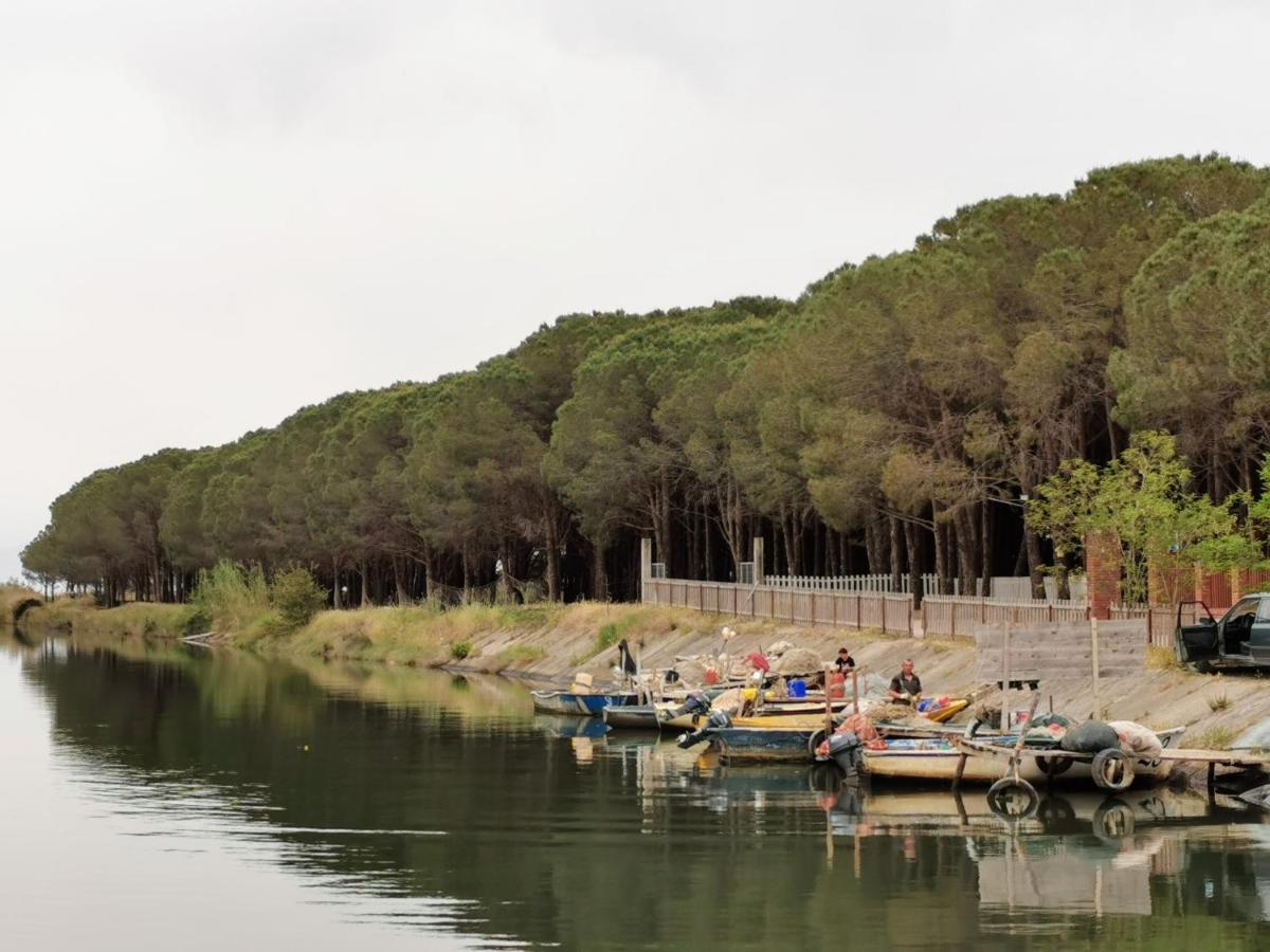 Beachfront, Tirana Guest House Velipojë Dış mekan fotoğraf